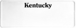 USA license plate Kentucky black text