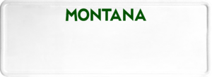 USA license plate Montana green text