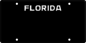 USA license plate Florida black text