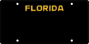 USA license plate Florida black2 text