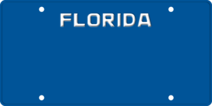 USA license plate Florida blue text