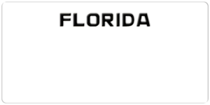 USA license plate Florida white text
