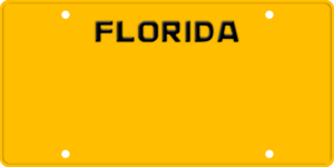 USA license plate Florida yellow text